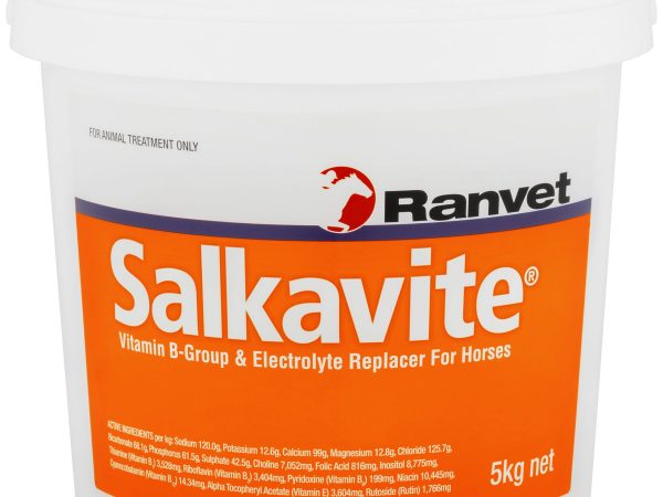 Salkavite Vitamin B Electrolye Replacer for Horses