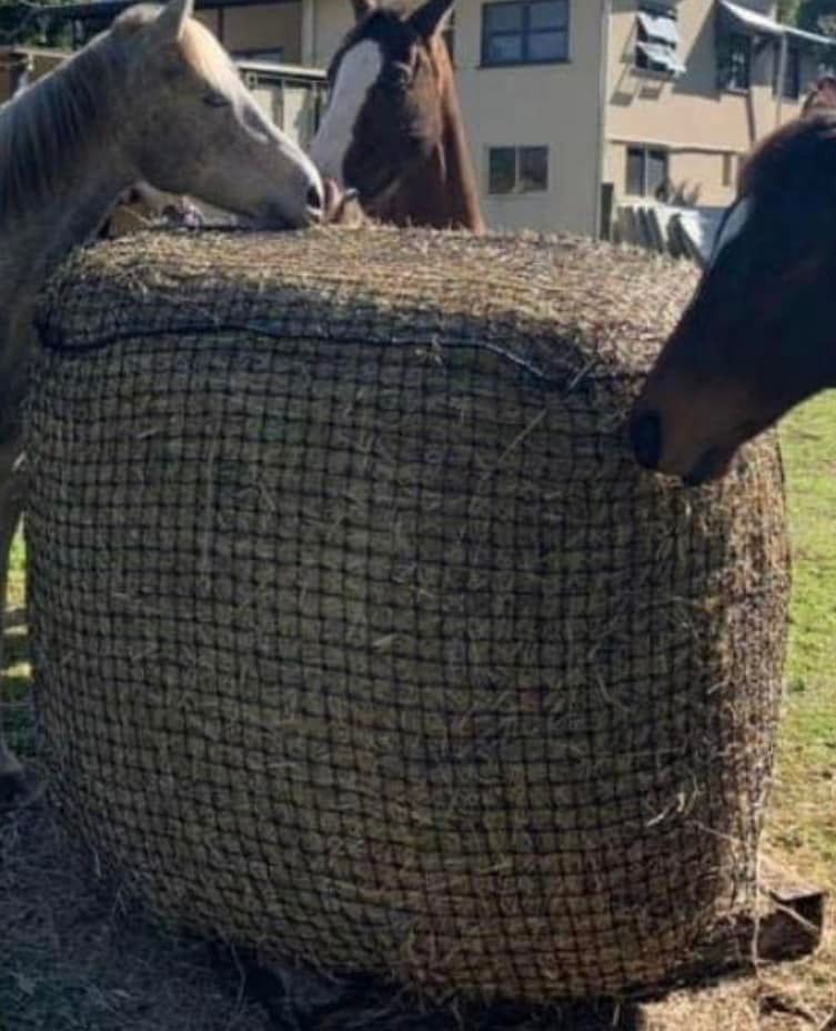 Original Knotted 5x4 Round Bale Horse Slow Feed Hay Net 6cm holes-0