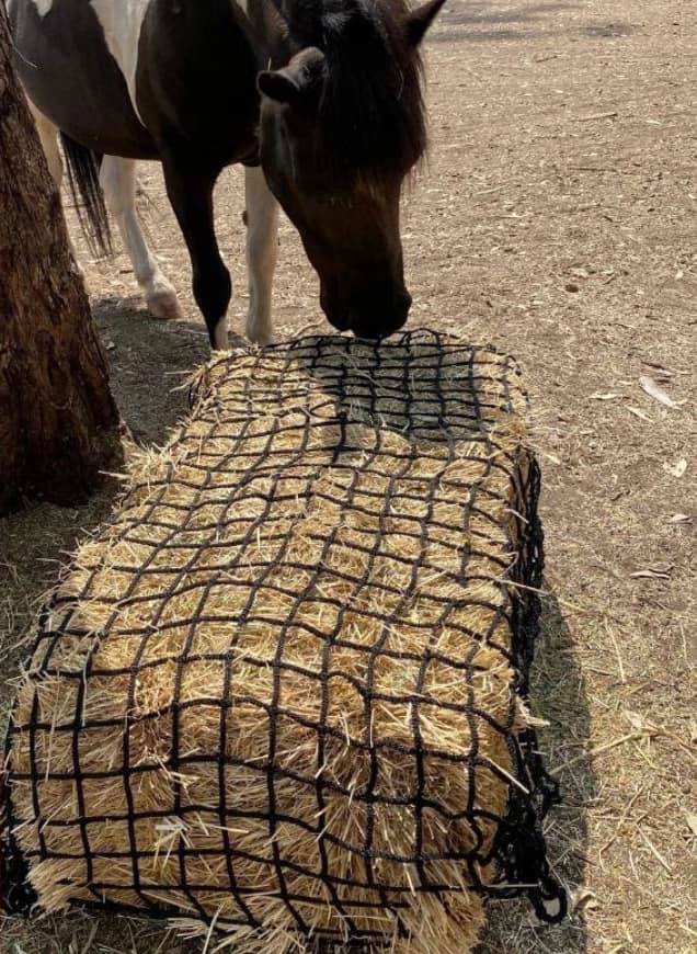 Deluxe Knotless Large Horse Slow Feed Hay Net 3cm holes-0