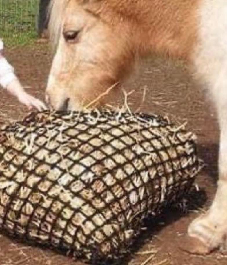 Deluxe Knotless Small Horse Slow Feed Hay Net 3cm holes-0