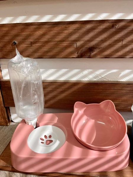 Cute cat bowl with water dispenser Pink-0