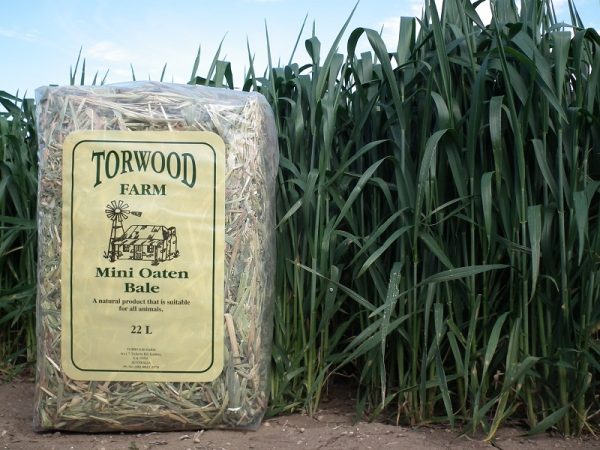 Torwood Farm - Mini Oaten Bale - 22ltr-0