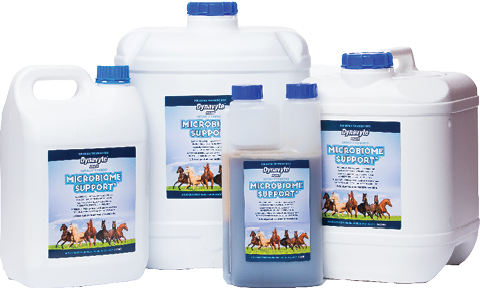 Dynavyte Microbiome Support Probiotic for Horses 5lt-0